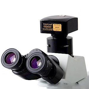 显微镜CCD、CMOS摄像头/显微镜数字相机