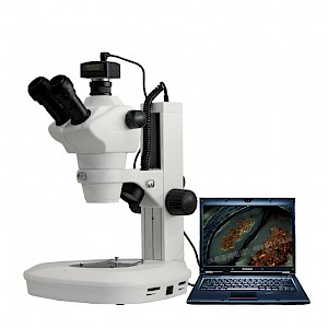 XTZ-850SZ科研级连续变倍数码体视显微镜