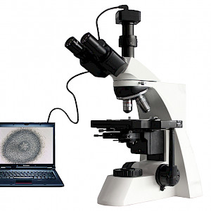 BL-160Z科研级数码生物显微镜