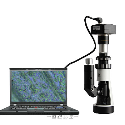 BJ-XZ便携式数码金相显微镜