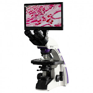 BL-200DM科研级数码生物显微镜