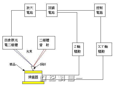 原子力显微镜（AFM）的结构示意图