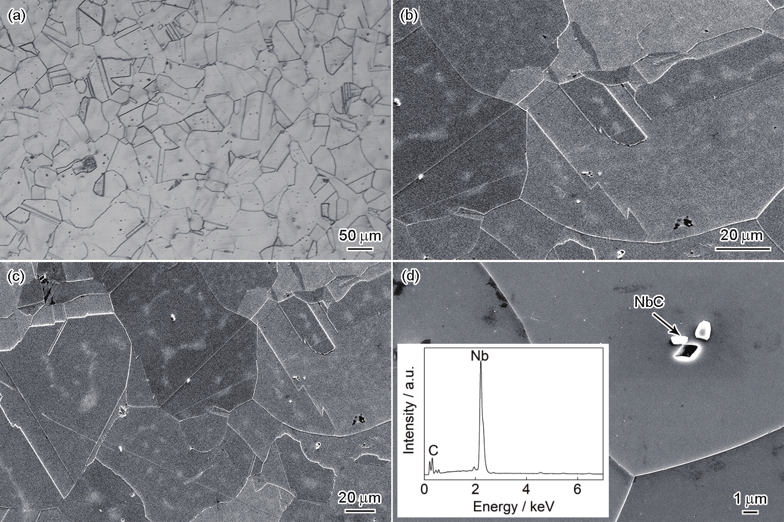 AFA不锈钢固溶组织的OM像、SEM像和第二相的EDS