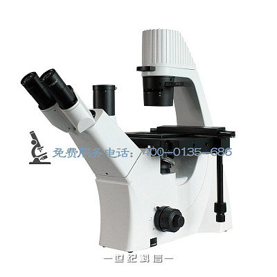 BLD-300倒置无限远相衬生物显微镜