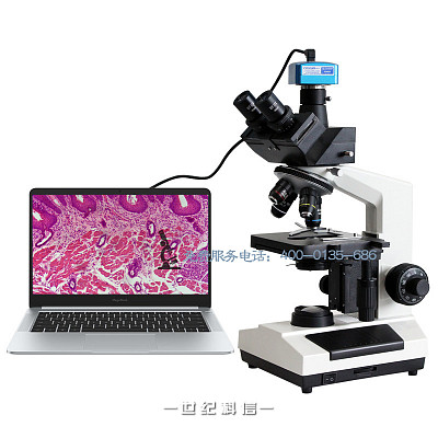  BL-107T三目正置生物显微镜