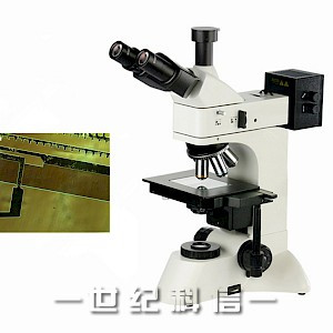 DIC-950微分干涉相衬显微镜