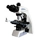 BL-610T实验室科研用三目生物显微镜