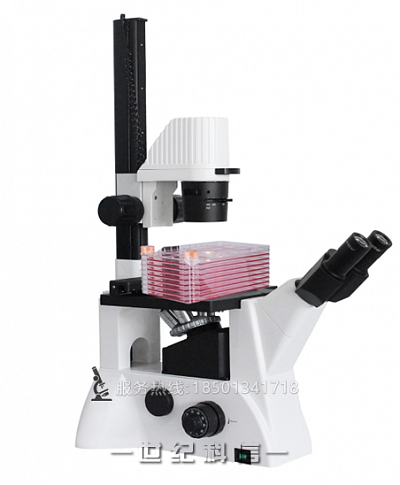 BLD-220CF倒置显微镜