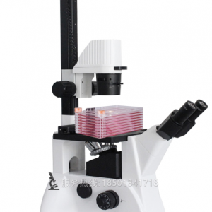BLD-220CF倒置显微镜