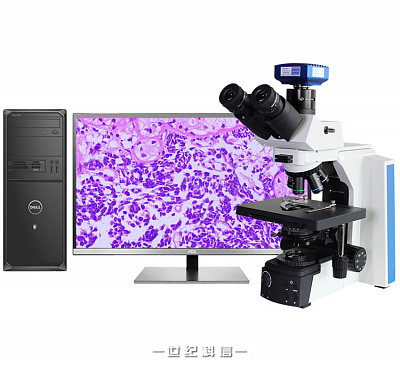 
VMB630A研究级编码型正置生物显微镜