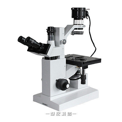 
XSB-1A倒置生物显微镜切片细菌细胞观察